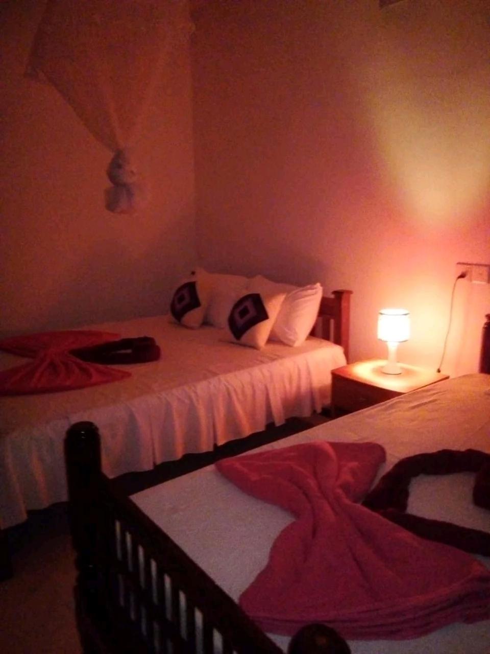 Rose Dale Homestay אלה מראה חיצוני תמונה