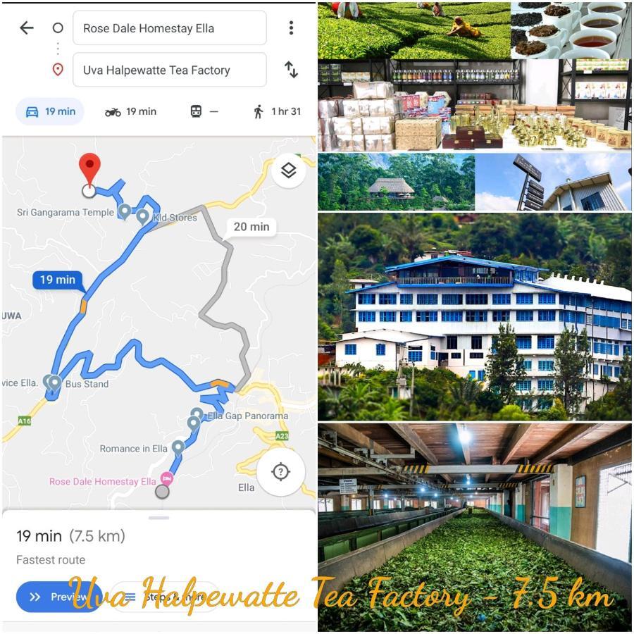 Rose Dale Homestay אלה מראה חיצוני תמונה
